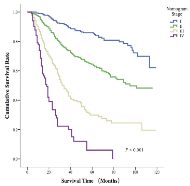 Câncer de Apêndice: Como estadiar pelo TNM?