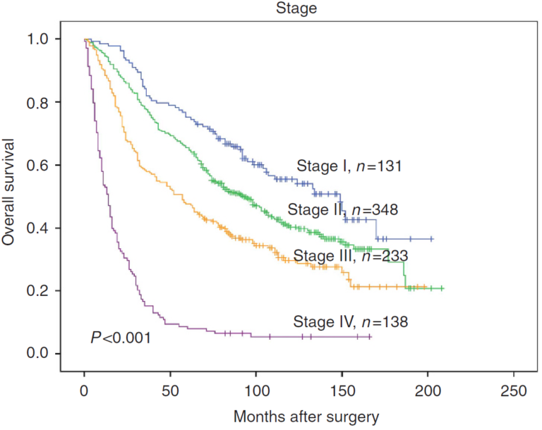 Câncer Colorretal: Como estadiar pelo TNM?