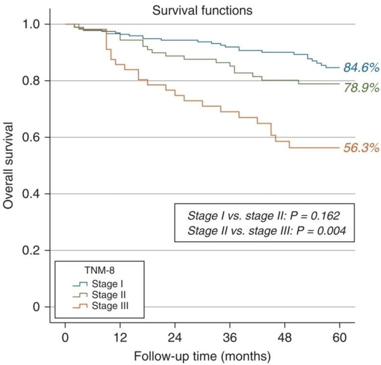 Prognóstico/Sobrevida dos pacientes com Tumores de Orofaringe associados ao HPV de acordo com o estadio TNM