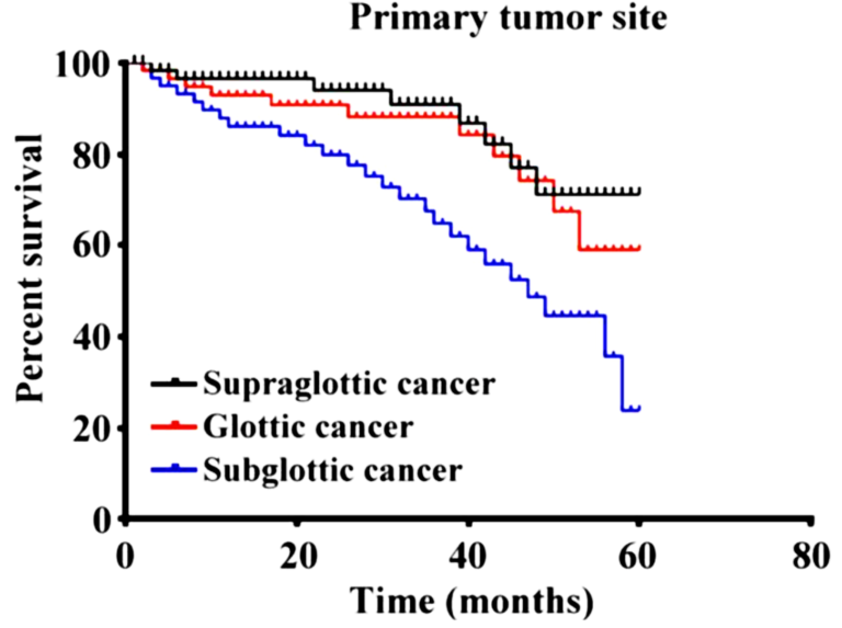 Tumores de Laringe: Como estadiar pelo TNM?
