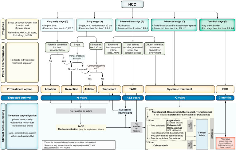 Câncer hepático - O Sistema BCLC (Barcelona Clinic Liver Cancer)